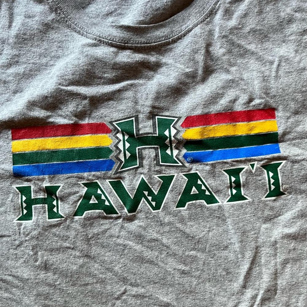 Size L Fruit of the Loom University of Hawaii Student Store Shirt (2019)